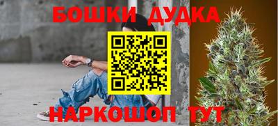 PSILOCYBIN Славгород