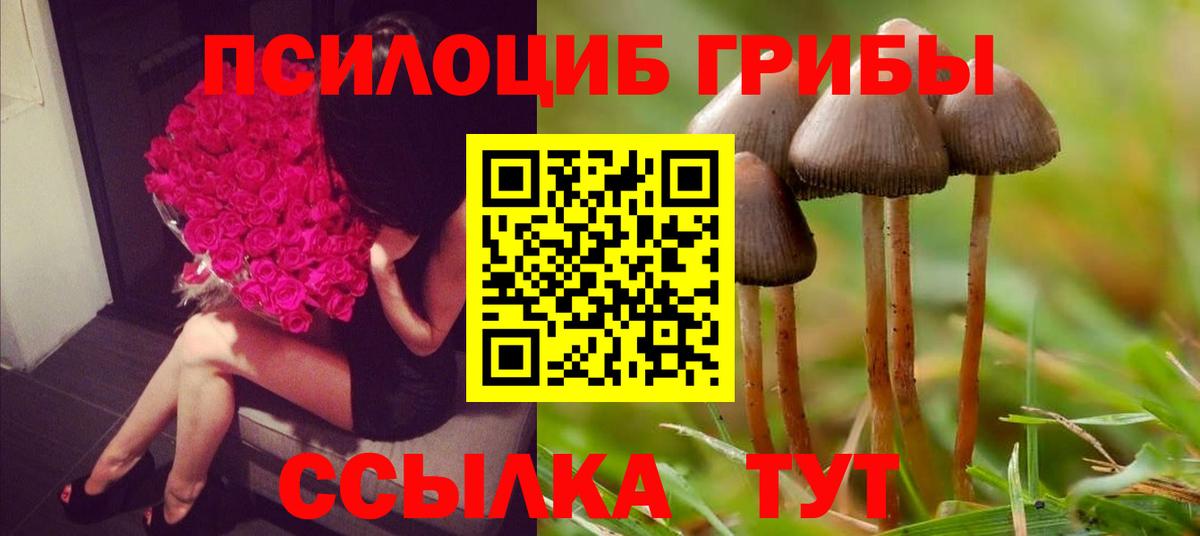 Псилоцибиновые грибы Psilocybine cubensis Новочеркасск
