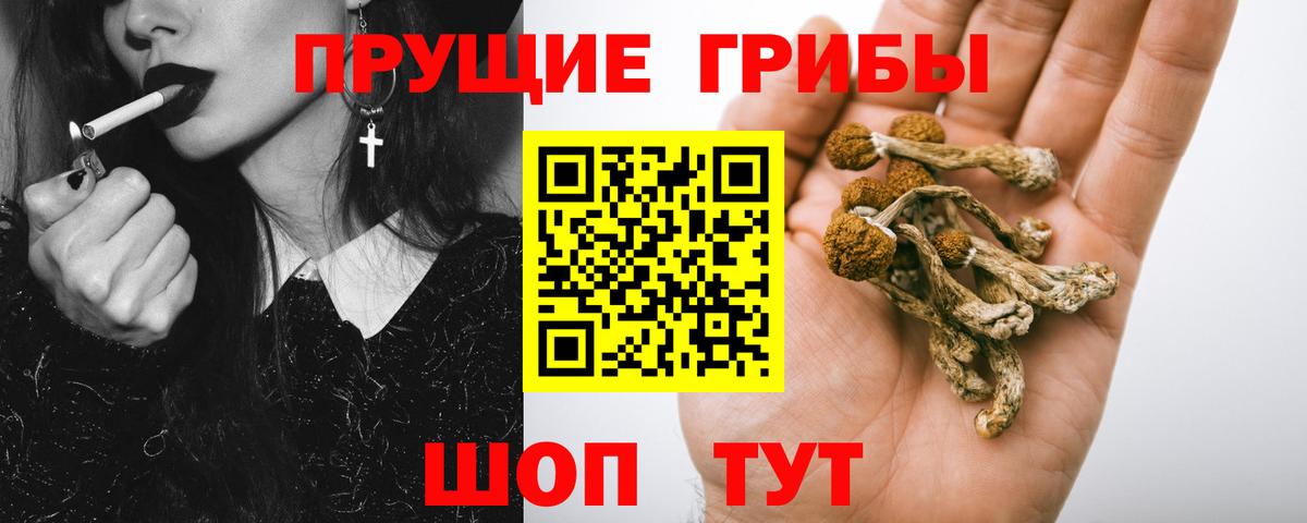 Галлюциногенные грибы мухоморы  Псилоцибиновые грибы прущие грибы  Вход с VPN  Новочеркасск 